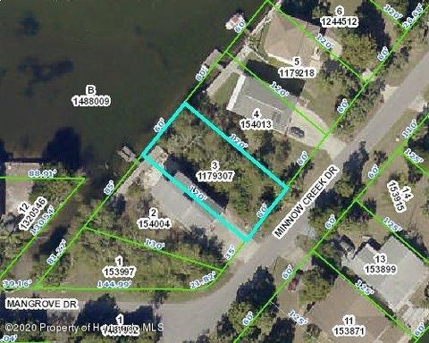 Vacant Land For Sale - 00 Minnow Creek (lot 3)<br/> HERNANDO BEACH, FL 34607
