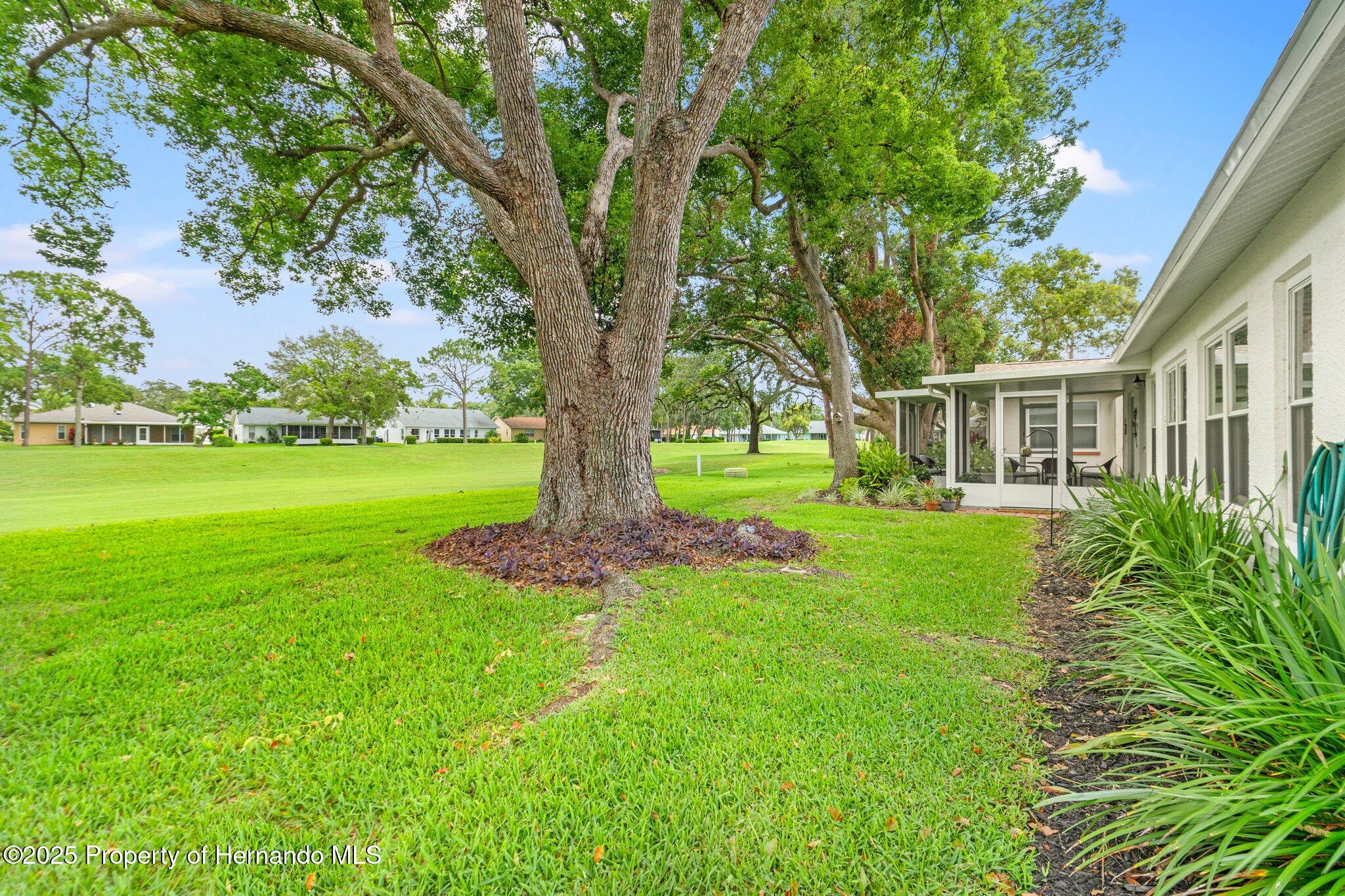 2310 Augusta Drive, Spring Hill, Florida image 36