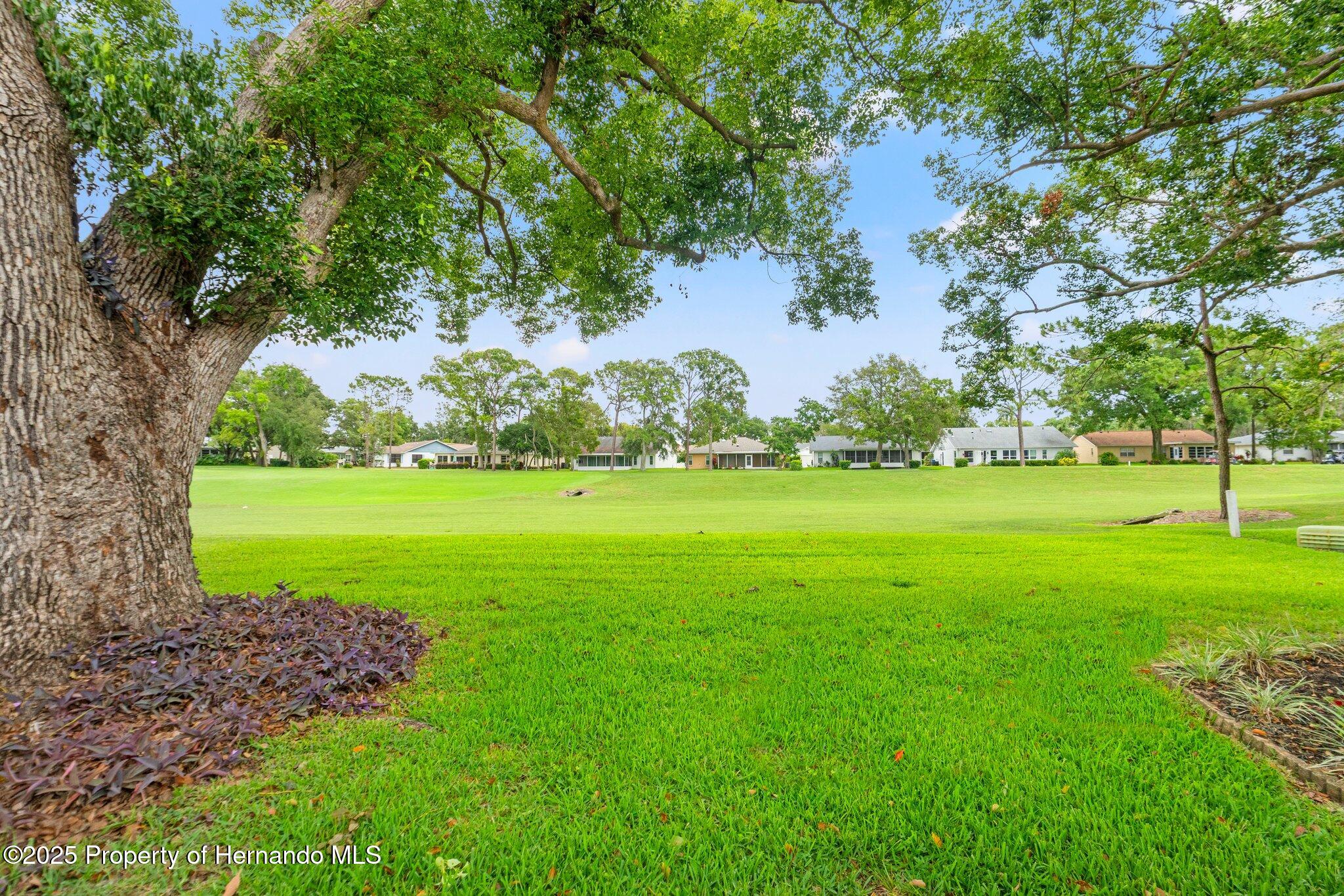 2310 Augusta Drive, Spring Hill, Florida image 35