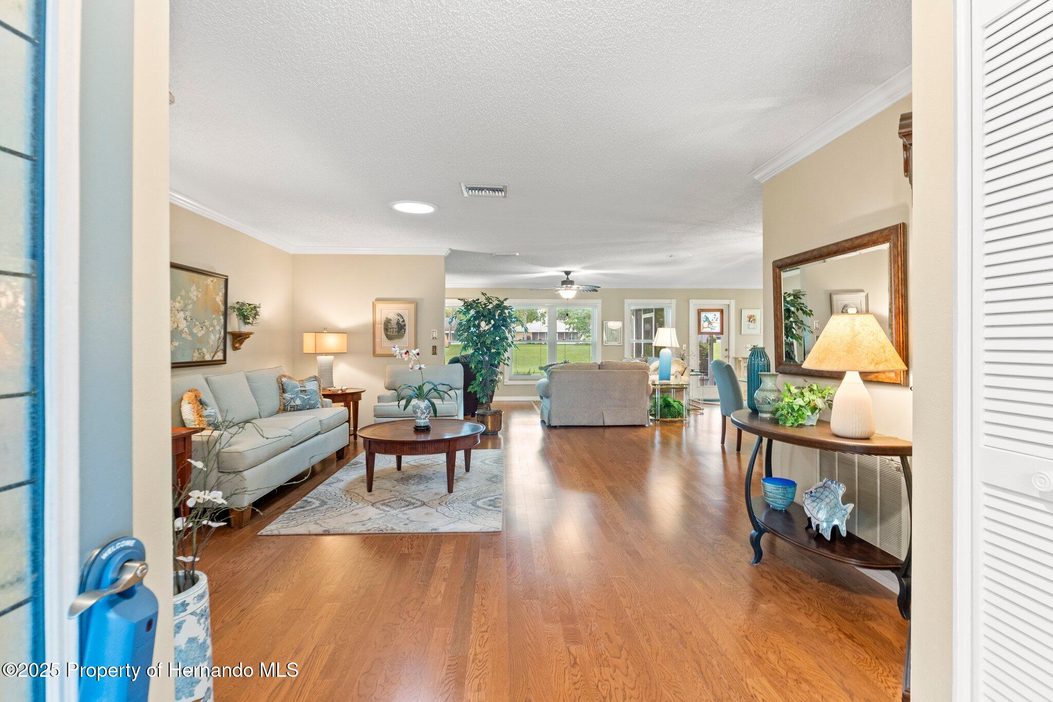 2310 Augusta Drive, Spring Hill, Florida image 5