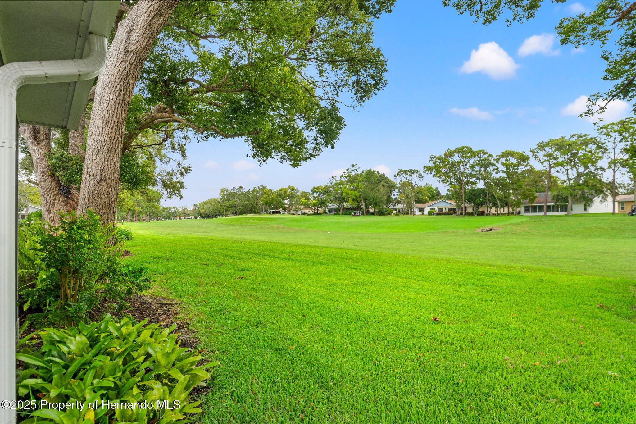 2310 Augusta Drive, Spring Hill, Florida image 37