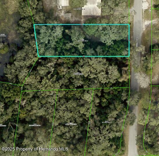 Lot 76 Idle A While Circle, Dade City, Florida image 15