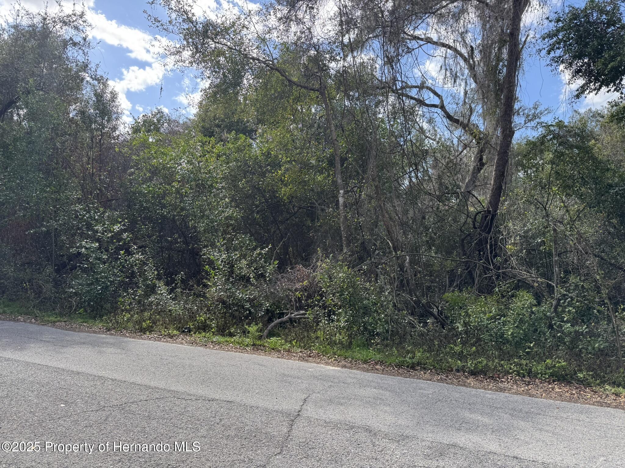 Lot 76 Idle A While Circle, Dade City, Florida image 9