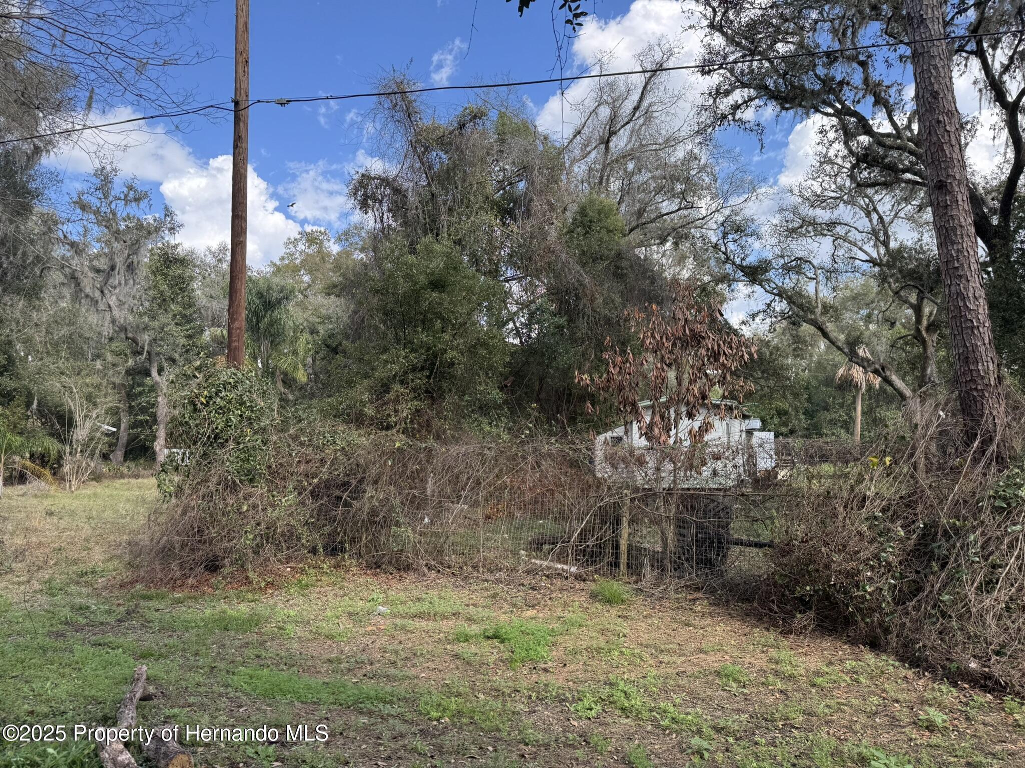 Lot 76 Idle A While Circle, Dade City, Florida image 12