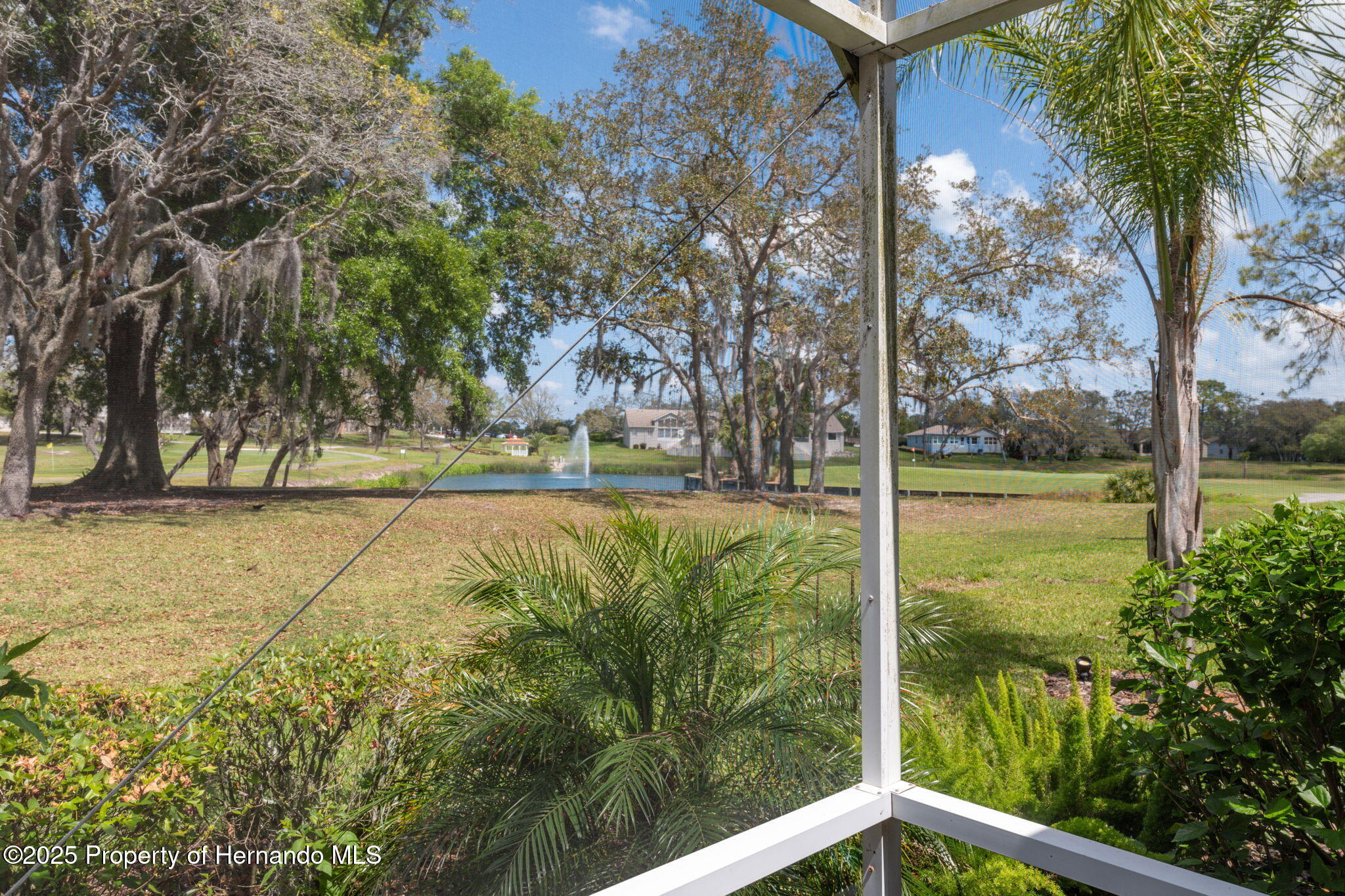 11631 Wayside Willow Court, Hudson, Florida image 43
