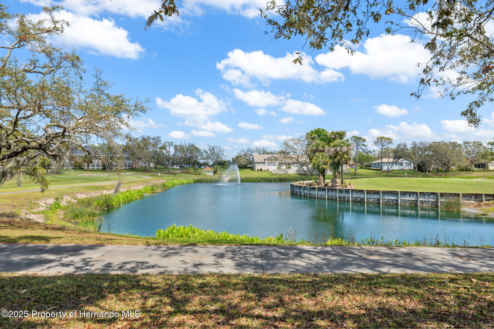 11631 Wayside Willow Court, Hudson, Florida image 48