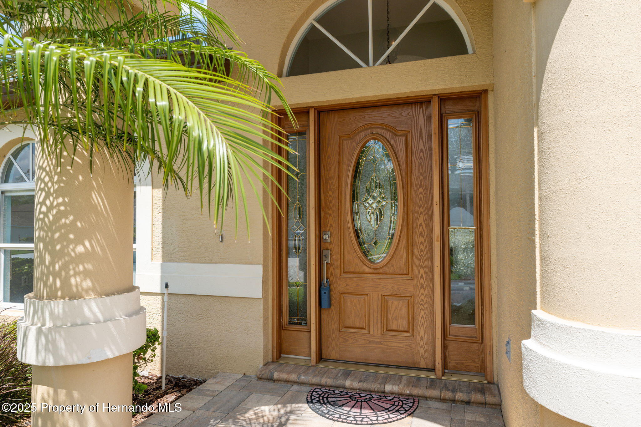 11631 Wayside Willow Court, Hudson, Florida image 5