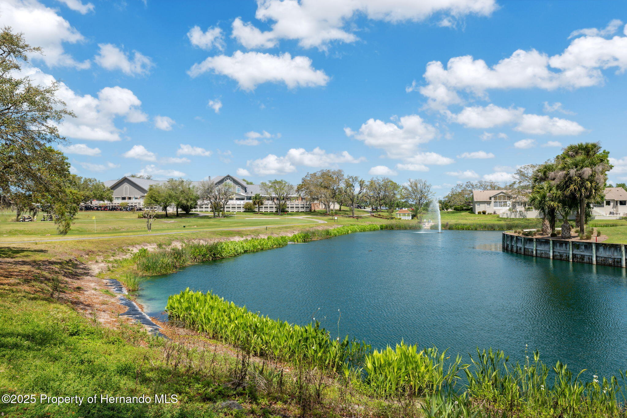 11631 Wayside Willow Court, Hudson, Florida image 47