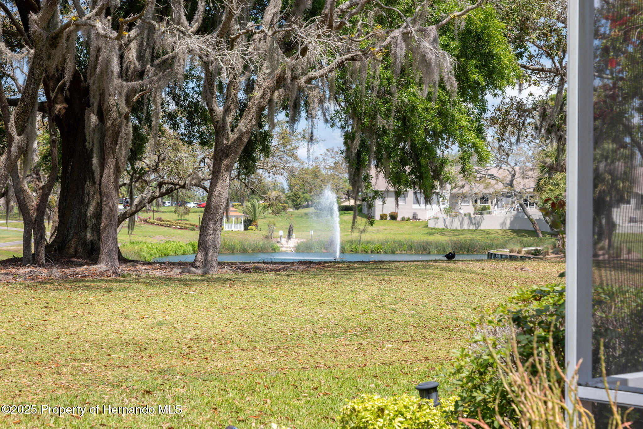 11631 Wayside Willow Court, Hudson, Florida image 44