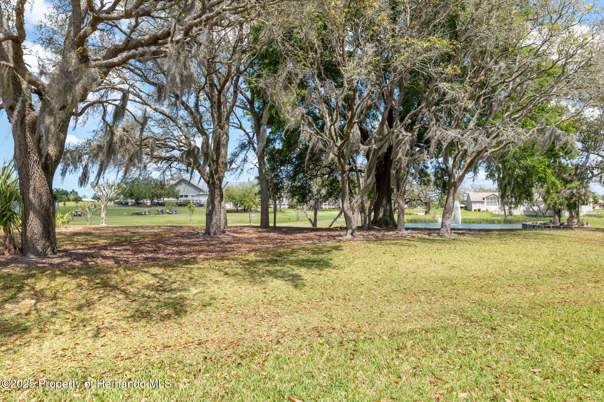 11631 Wayside Willow Court, Hudson, Florida image 46