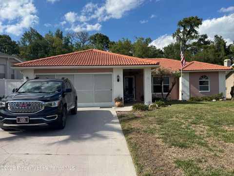 Homes For Sale - 4370 Craigdarragh Avenue<br/> Hernando County, Spring Hill, FL 34606