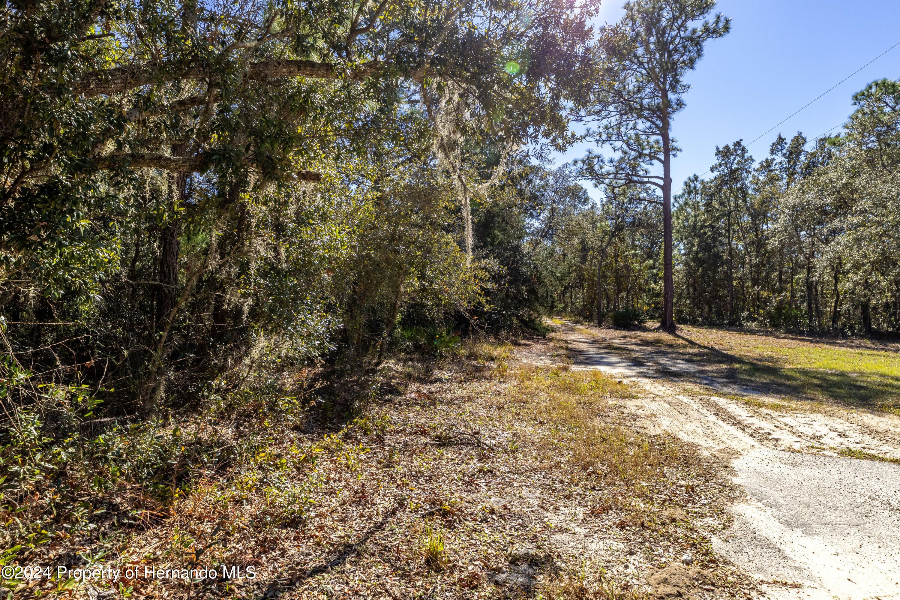 Maryland -lot 16 Avenue, Brooksville, Florida image 5