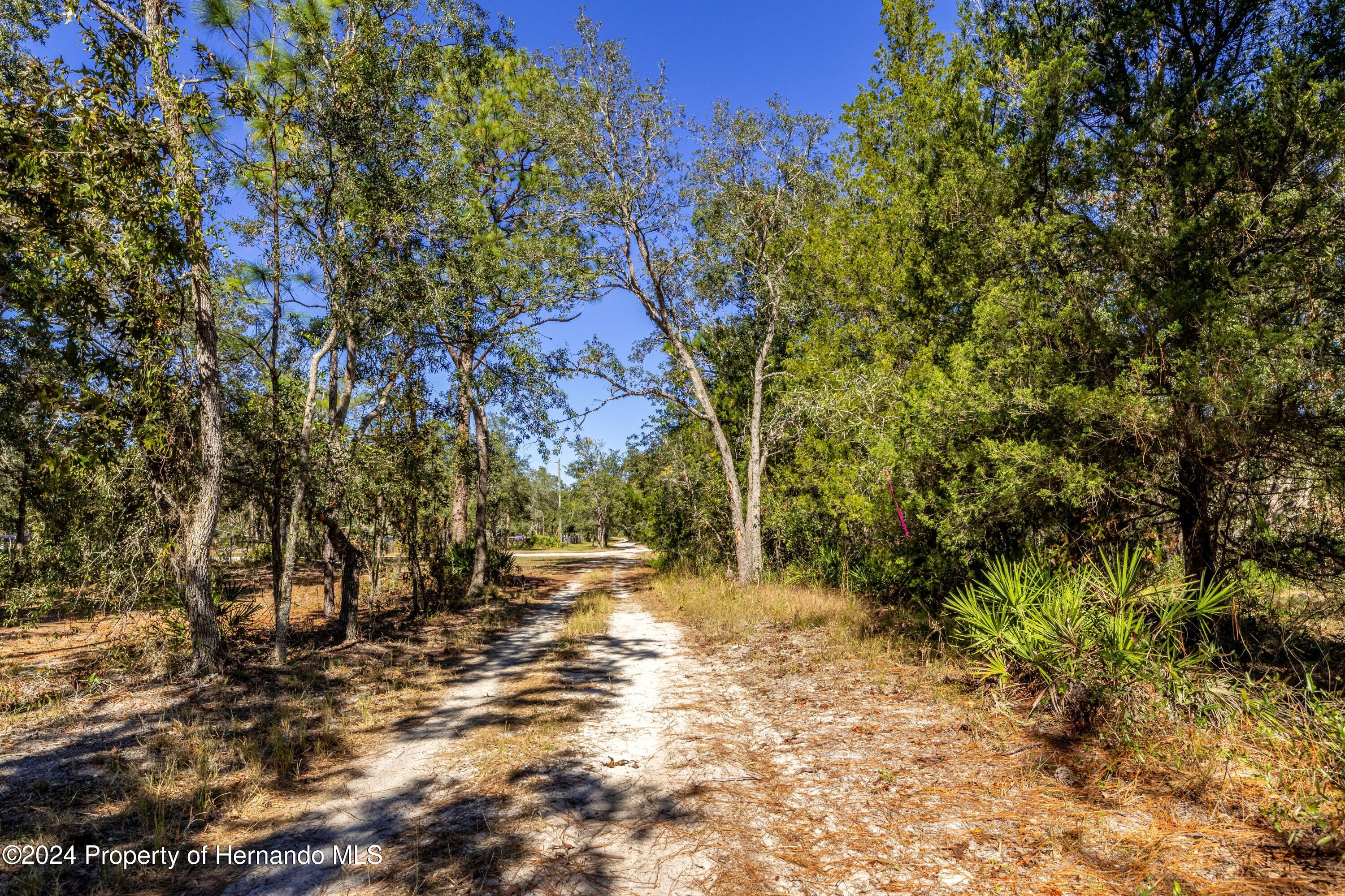 Maryland -lot 16 Avenue, Brooksville, Florida image 6