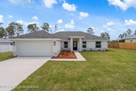 10128 Noddy Tern Road Weeki Wachee FL 34613