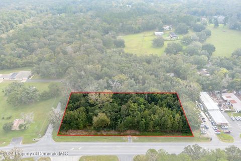 Vacant Land For Sale - 00 Ponce De Leon Boulevard<br/> Brooksville, FL 34601