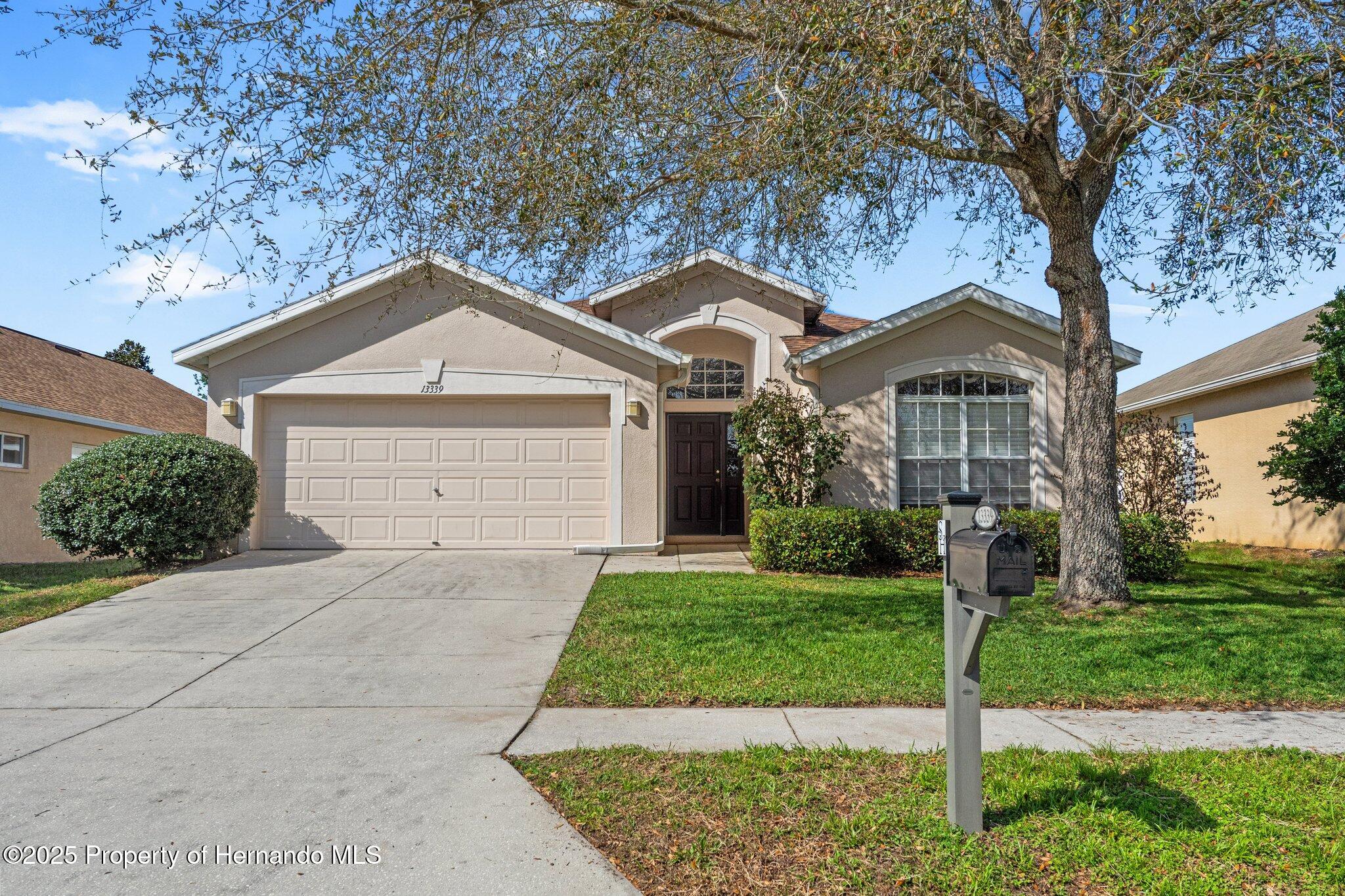 13339 Mandalay Place, Spring Hill, Florida image 2