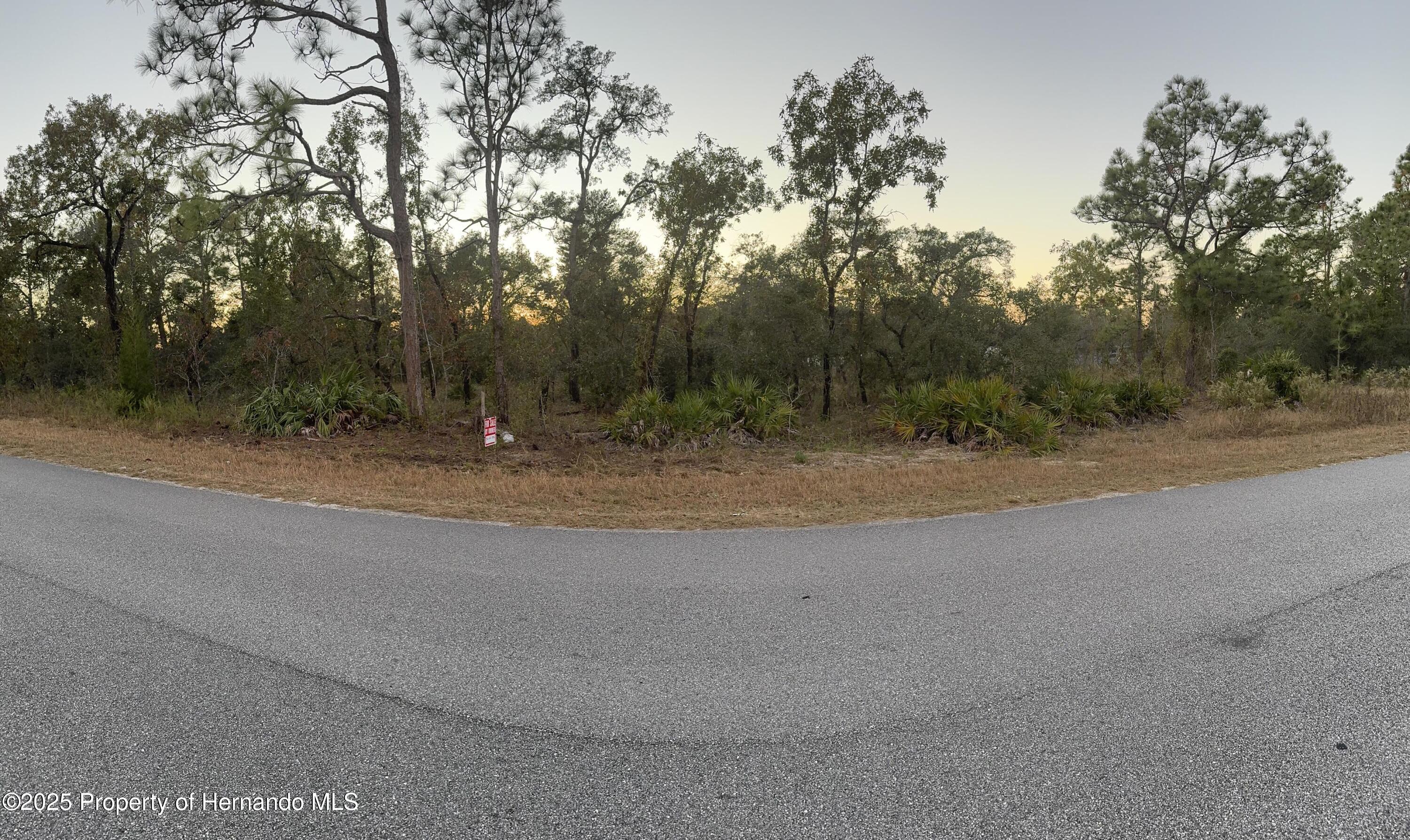 11085 Labrador Duck Road, Brooksville, Florida image 1