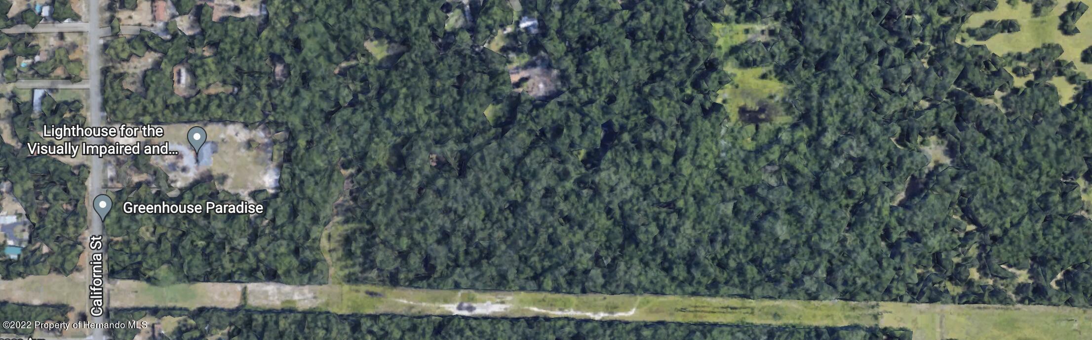 Texas Trail, Spring Hill, Florida image 3