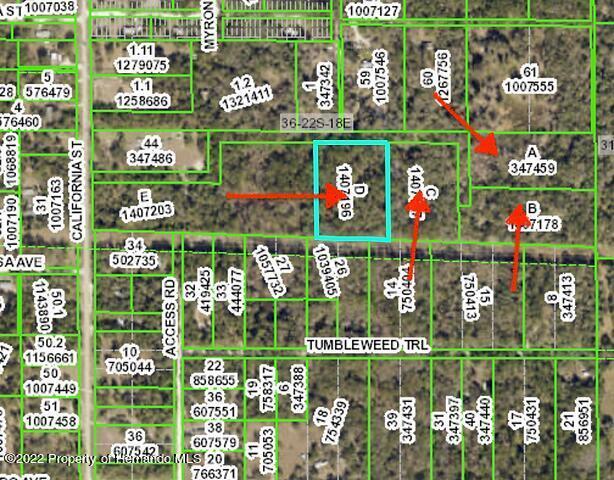 Texas Trail, Spring Hill, Florida image 1