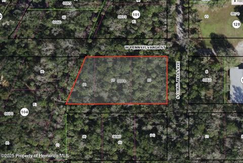 Vacant Land For Sale - Dunn & Pennsylvania Street<br/> Homosassa, FL 34448