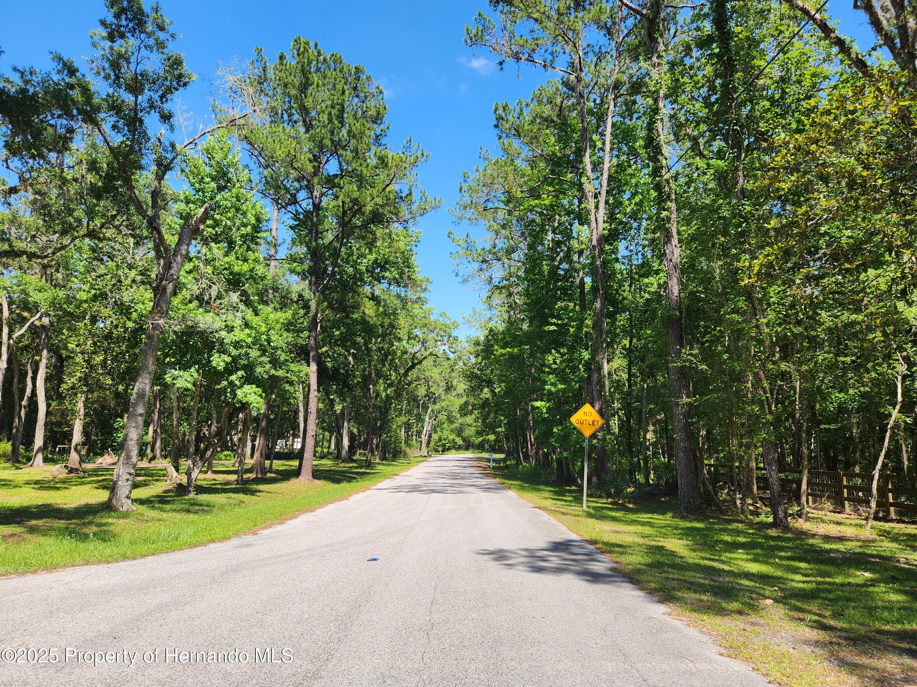 Royal Drive, Brooksville, Florida image 8