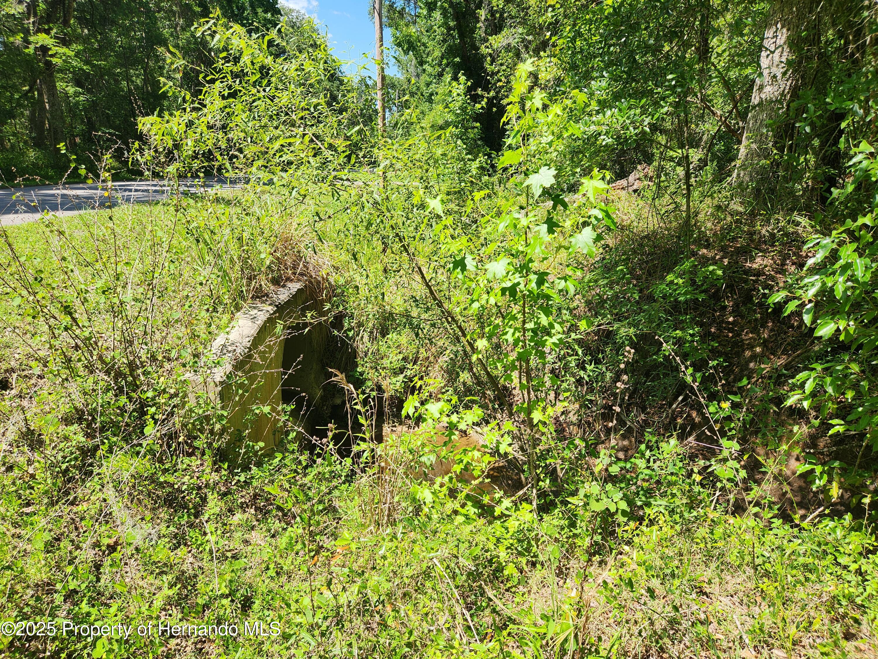 Royal Drive, Brooksville, Florida image 6