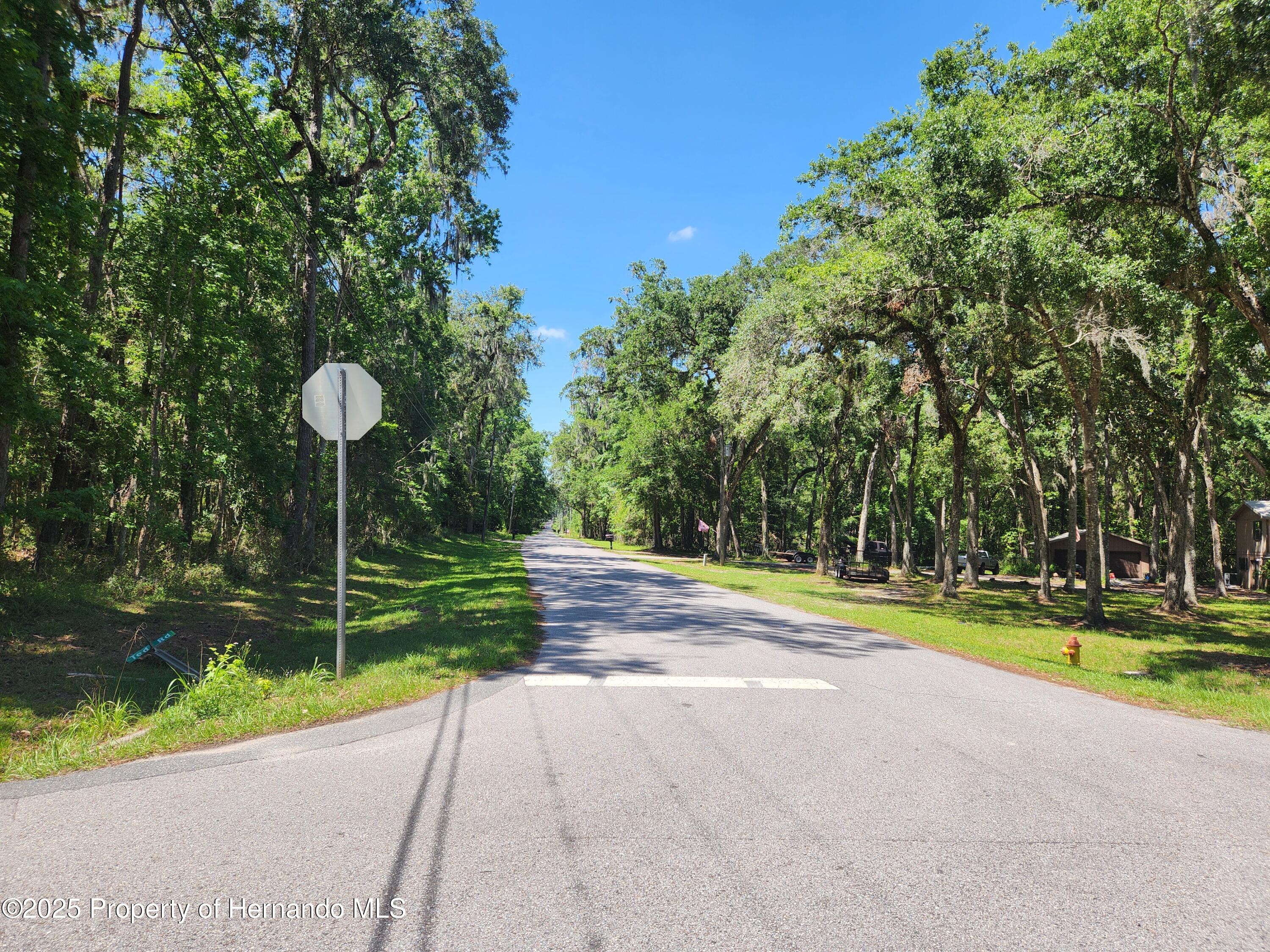 Royal Drive, Brooksville, Florida image 9