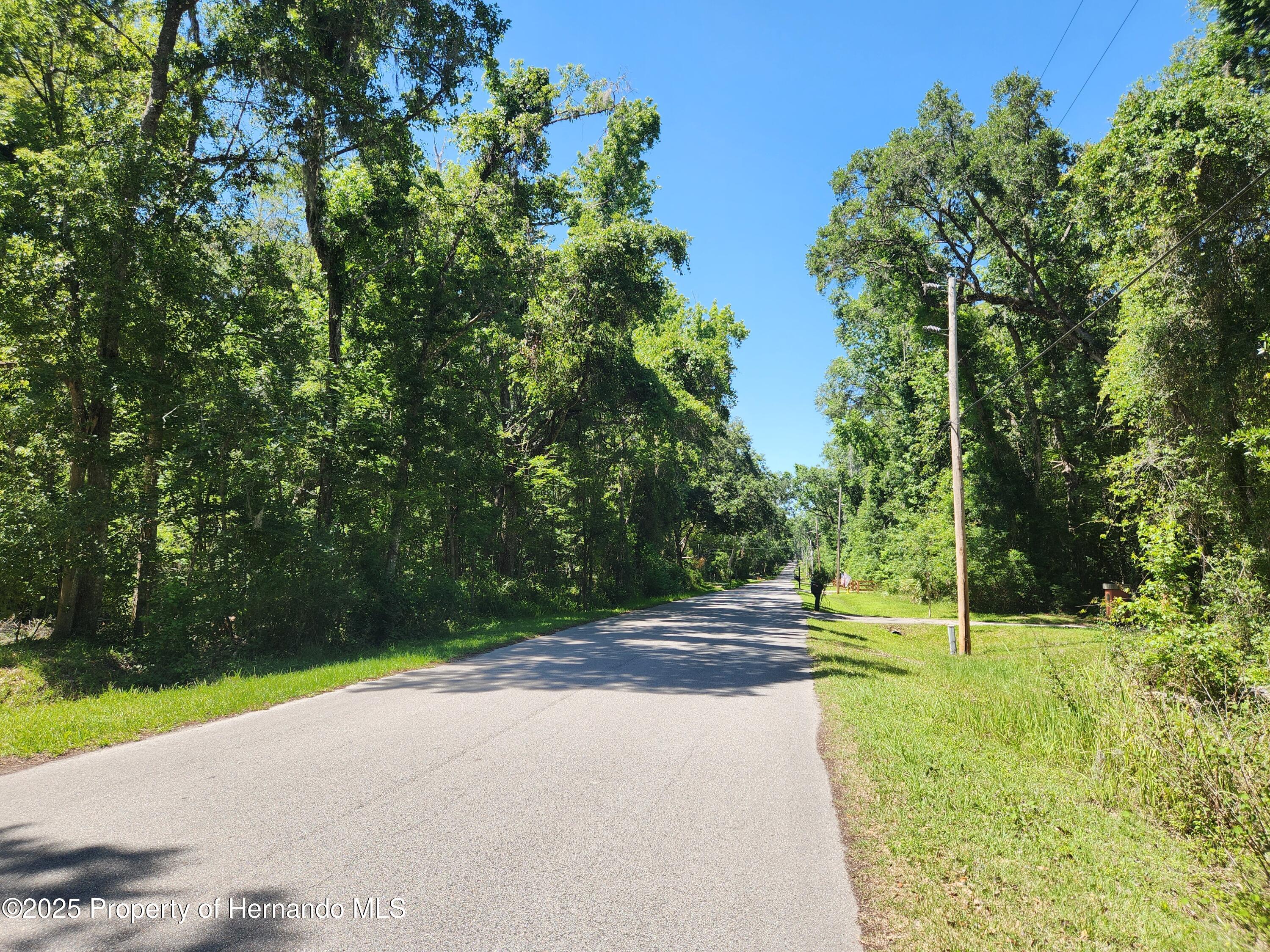 Royal Drive, Brooksville, Florida image 1