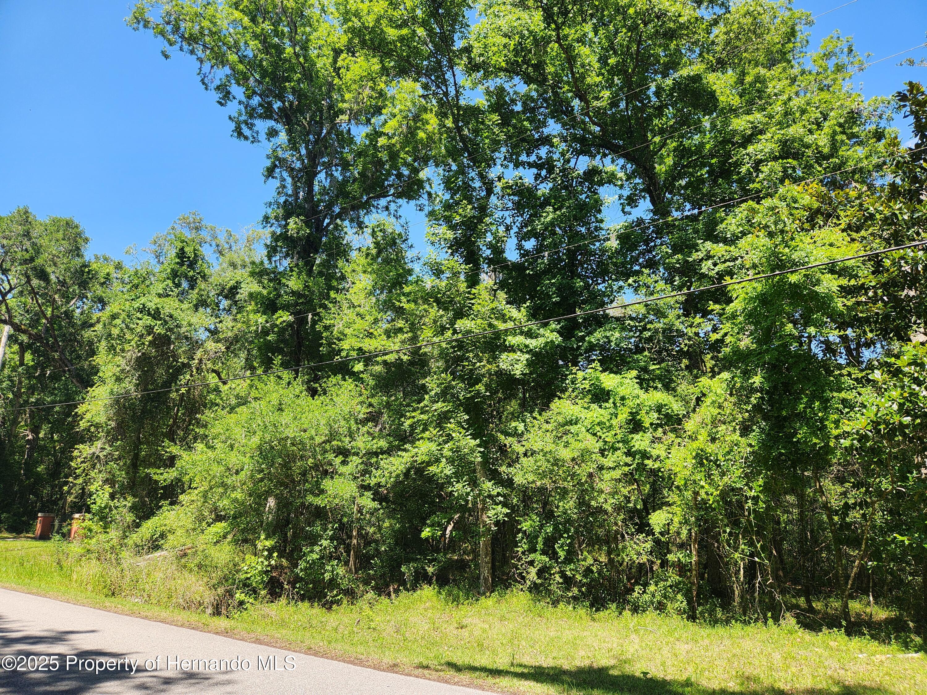Royal Drive, Brooksville, Florida image 4