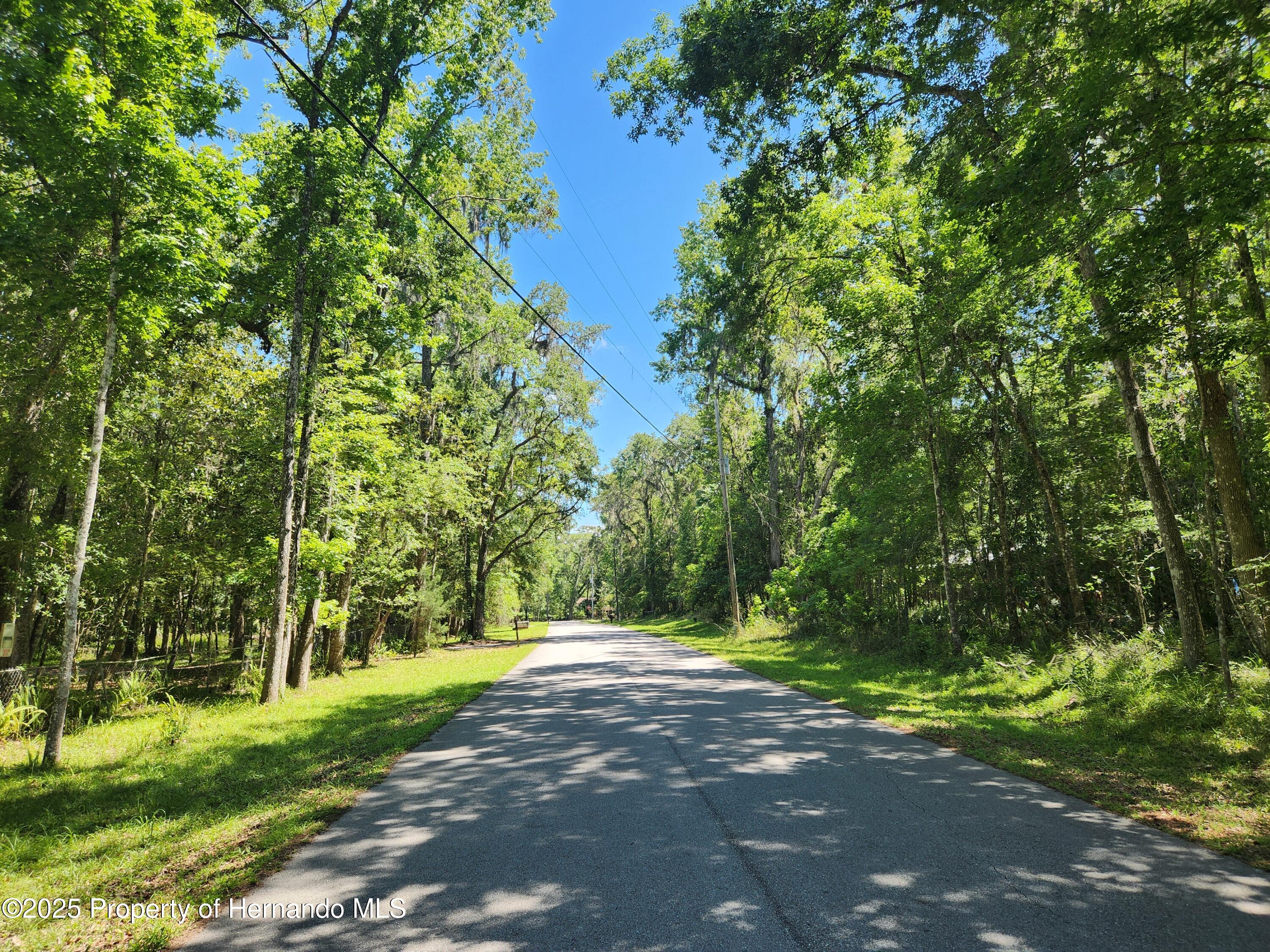 Royal Drive, Brooksville, Florida image 2