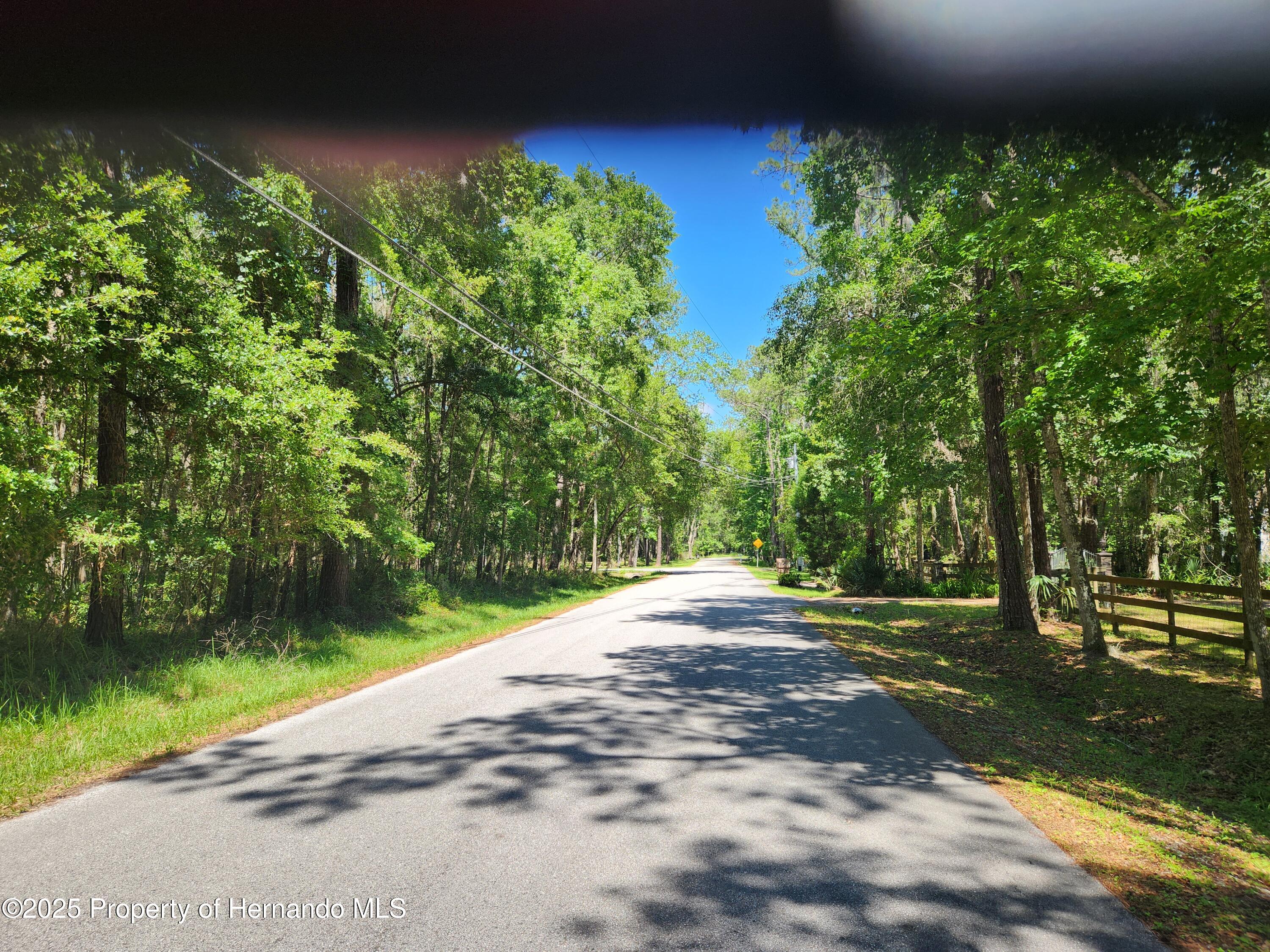 Royal Drive, Brooksville, Florida image 10
