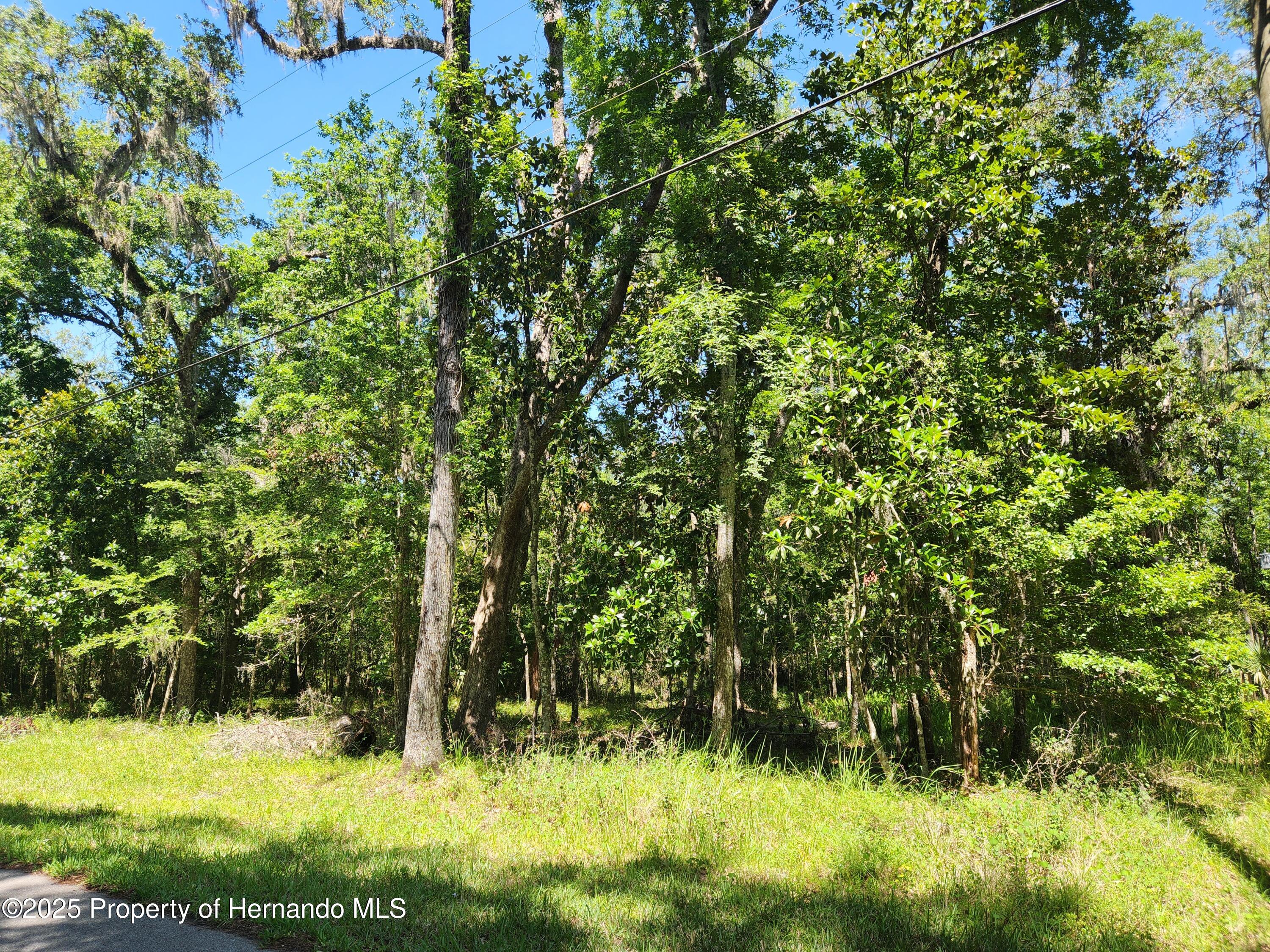 Royal Drive, Brooksville, Florida image 5