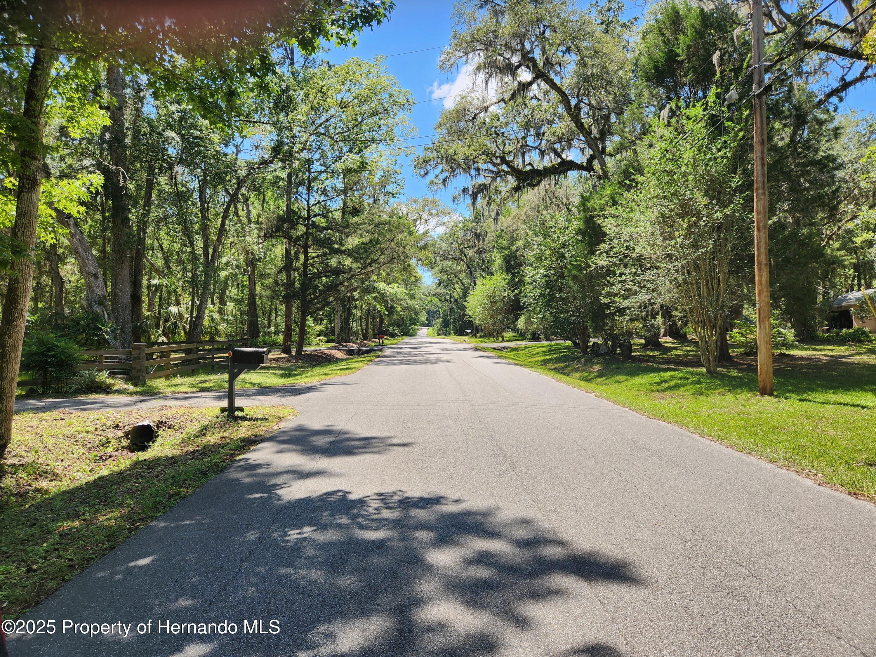 Royal Drive, Brooksville, Florida image 11