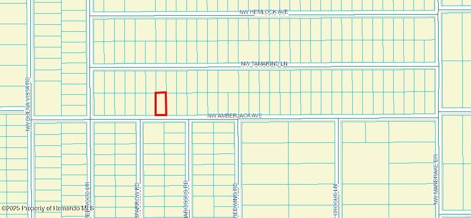 452262 Nw Amberjack Avenue, Dunnellon, Florida image 2