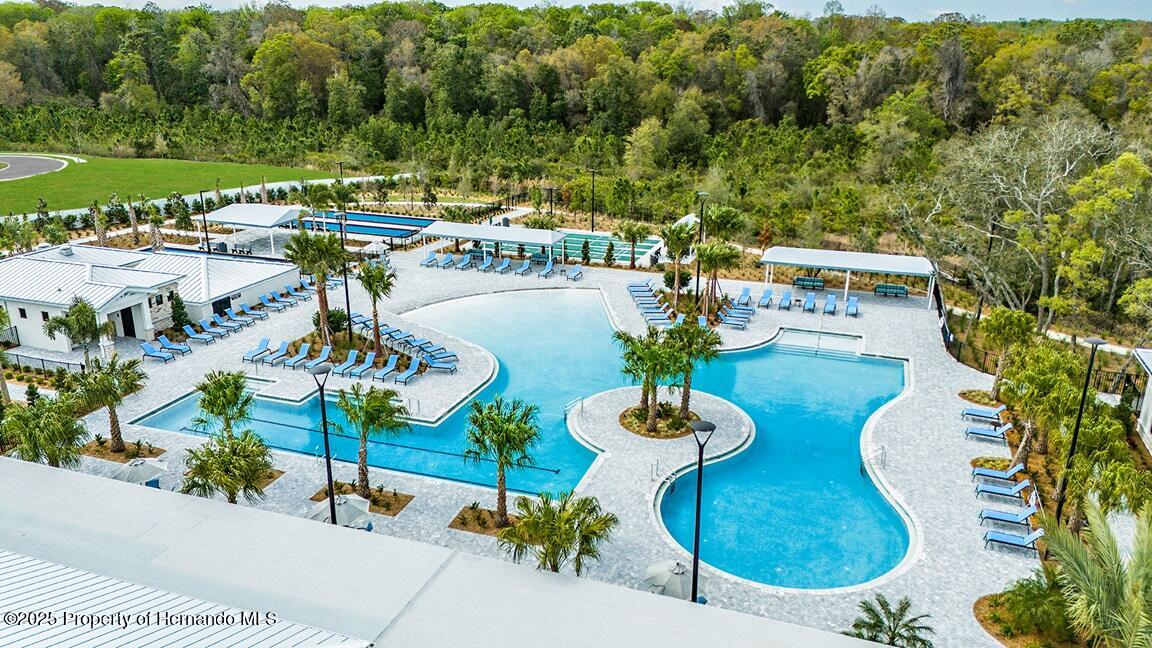 16983 Falling Waters Court, LAND O LAKES, Florida image 33