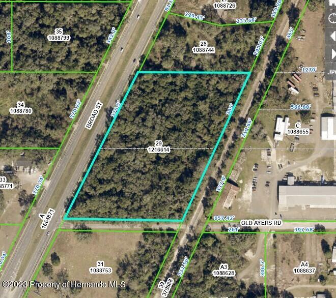 00 Broad Street, Masaryktown, Florida image 1