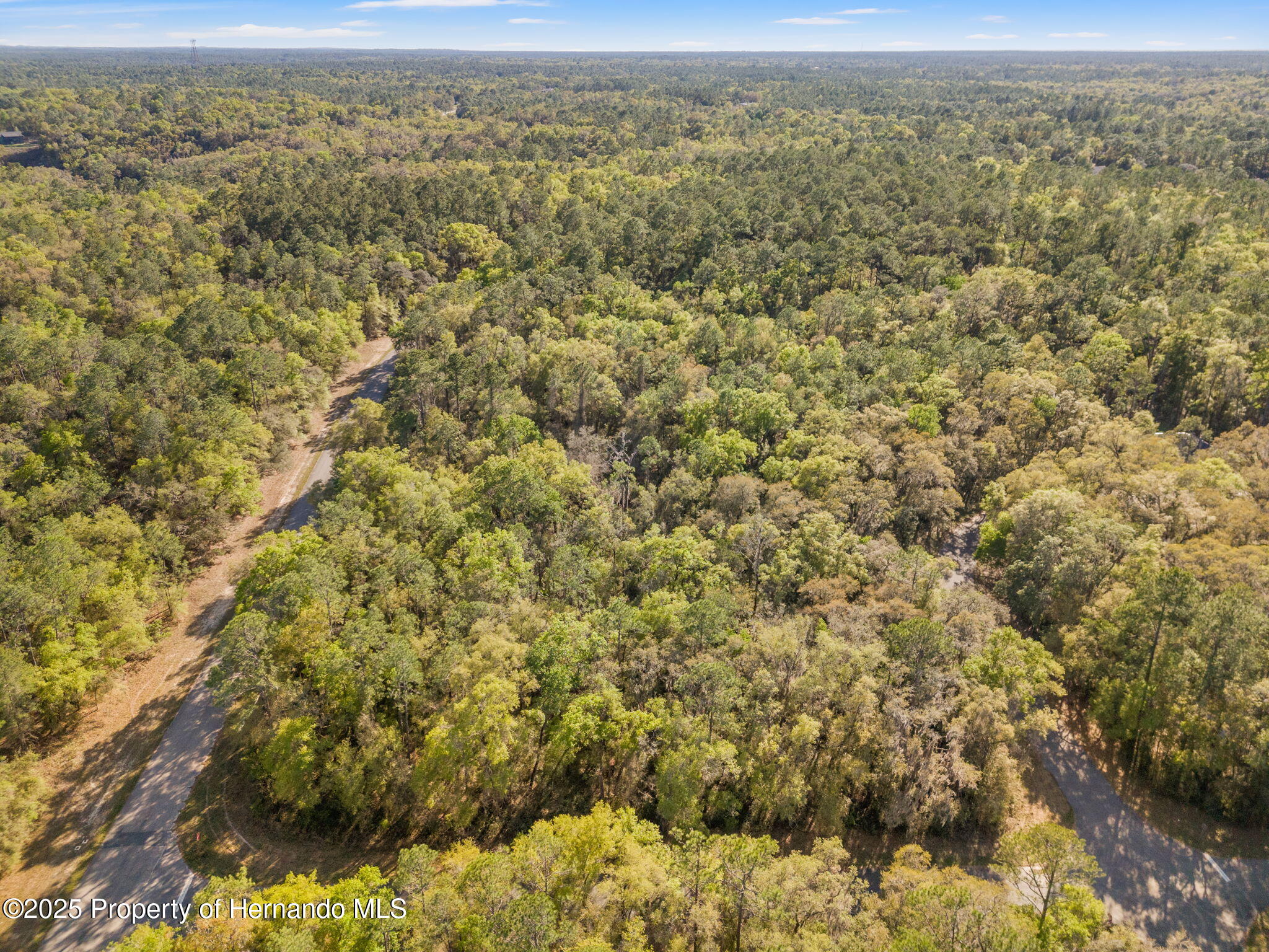 612 W Virginis Drive, Citrus Springs, Florida image 3
