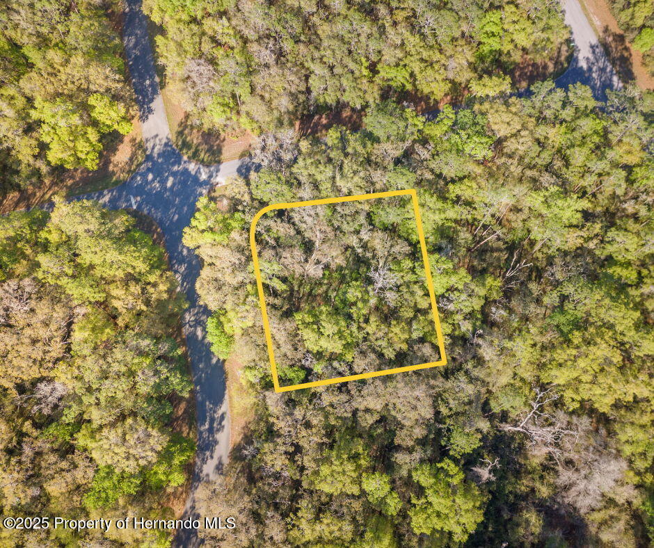 612 W Virginis Drive, Citrus Springs, Florida image 1
