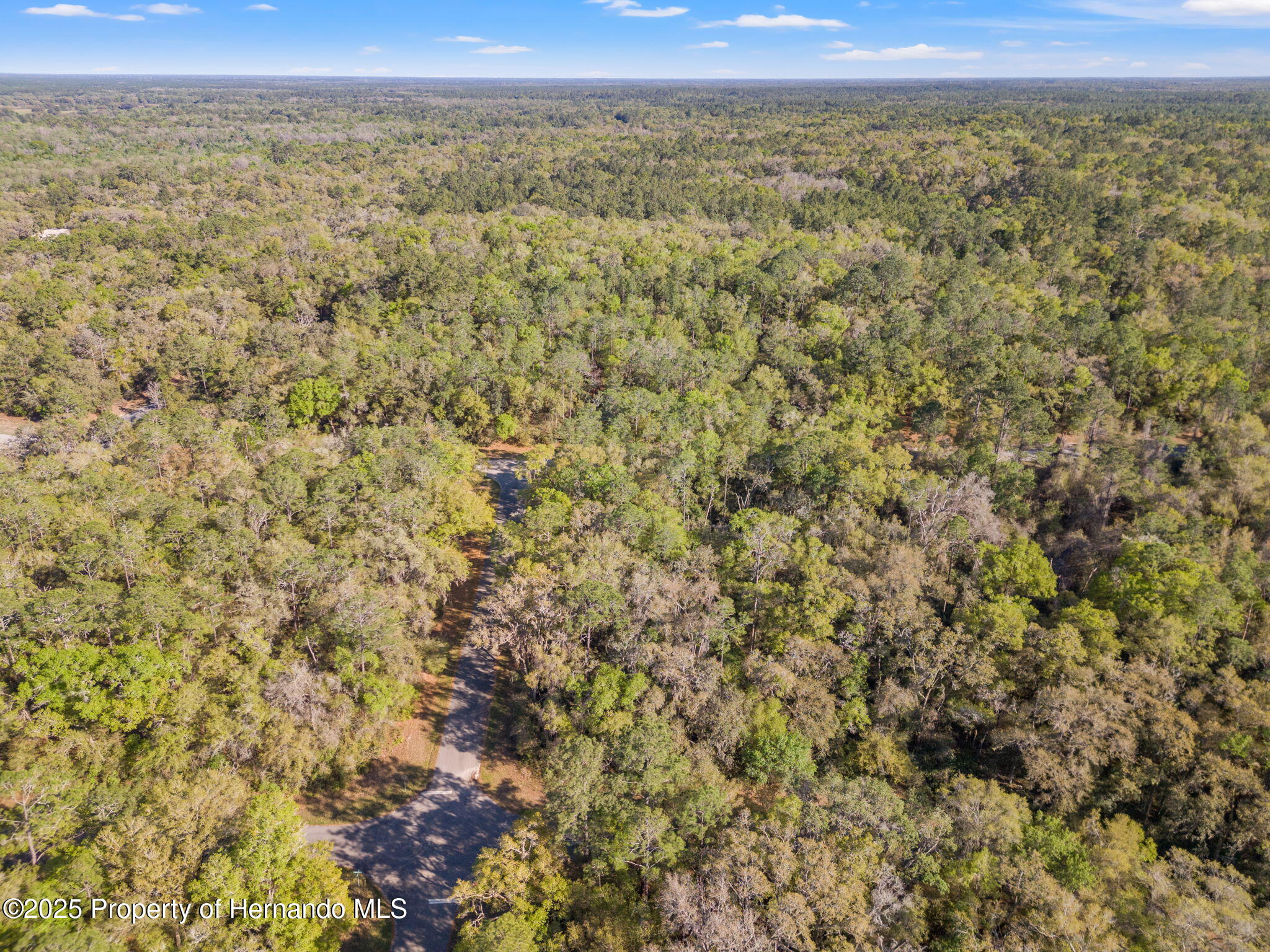 612 W Virginis Drive, Citrus Springs, Florida image 2