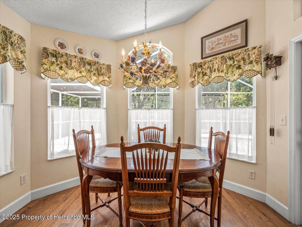 446 Romine Court, Spring Hill, Florida image 34