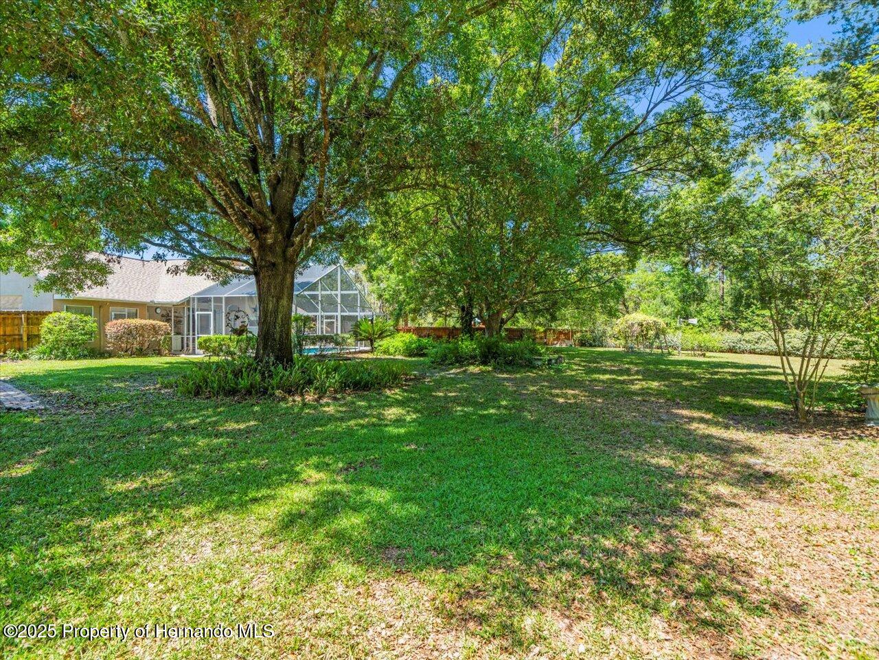 446 Romine Court, Spring Hill, Florida image 42