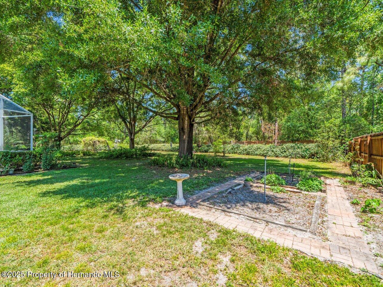 446 Romine Court, Spring Hill, Florida image 41