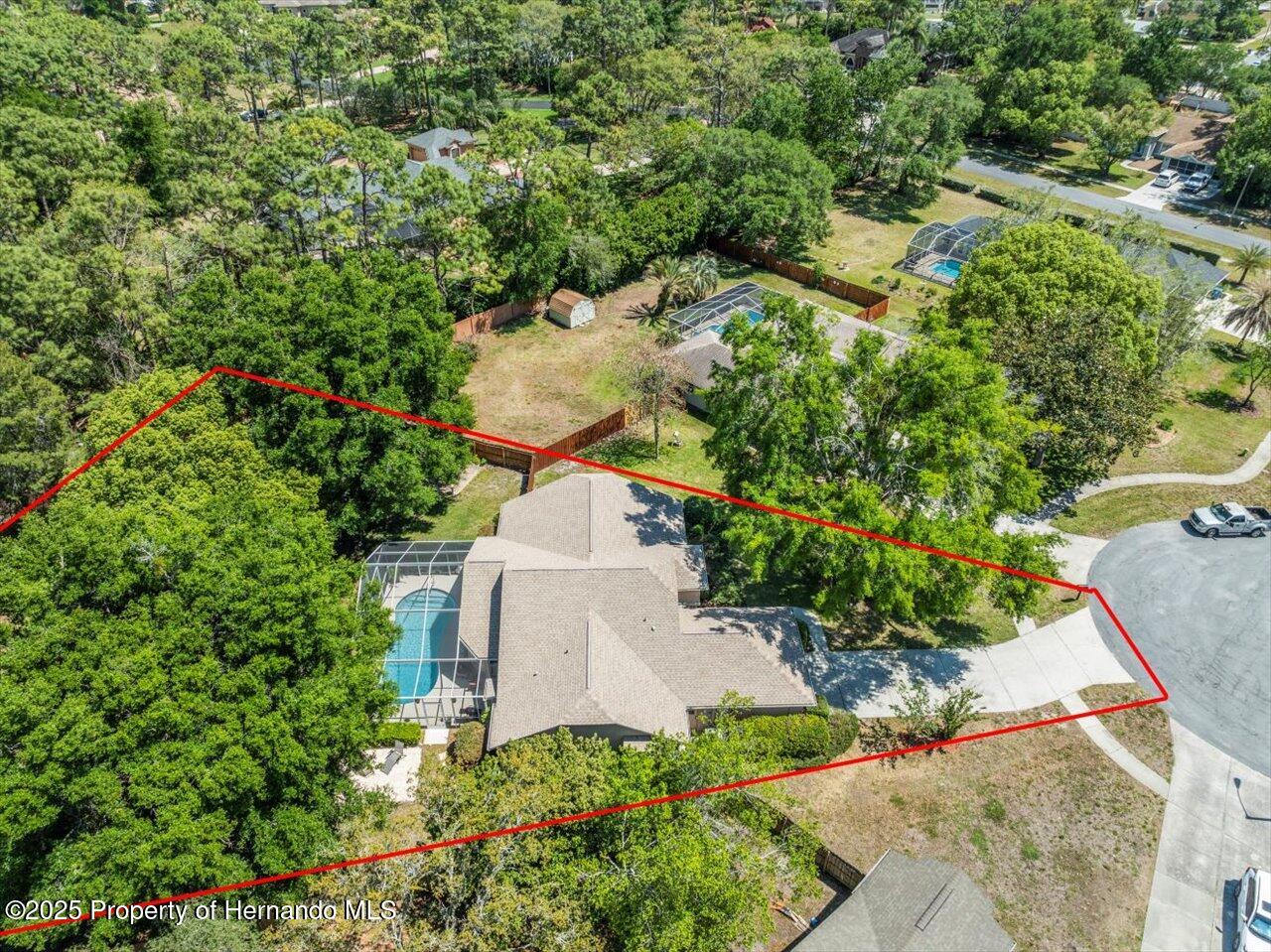 446 Romine Court, Spring Hill, Florida image 49