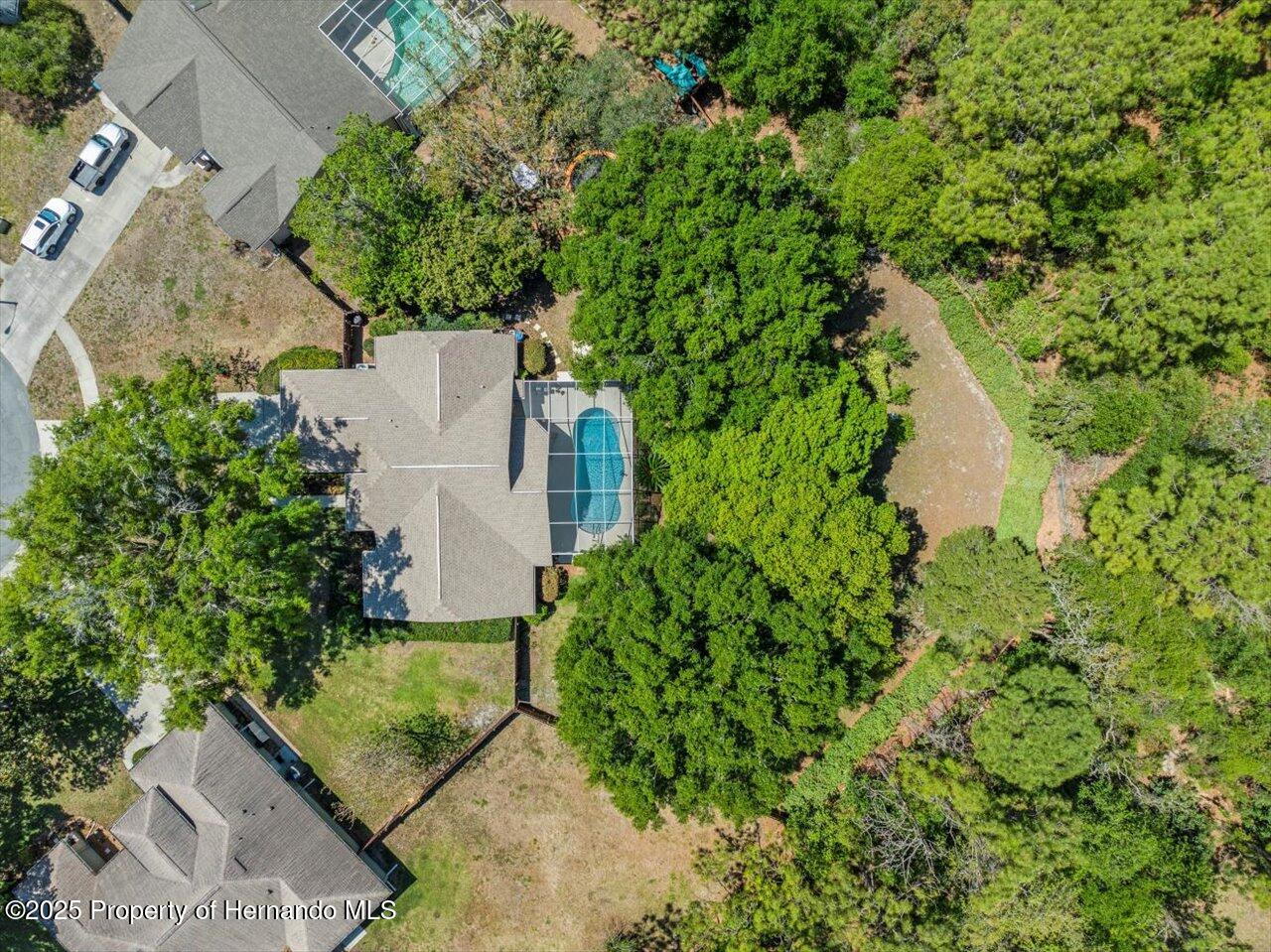 446 Romine Court, Spring Hill, Florida image 5
