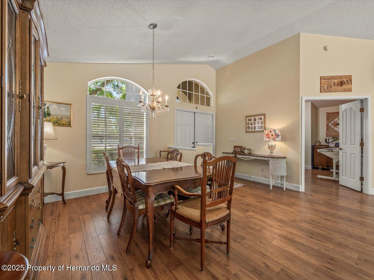 446 Romine Court, Spring Hill, Florida image 19