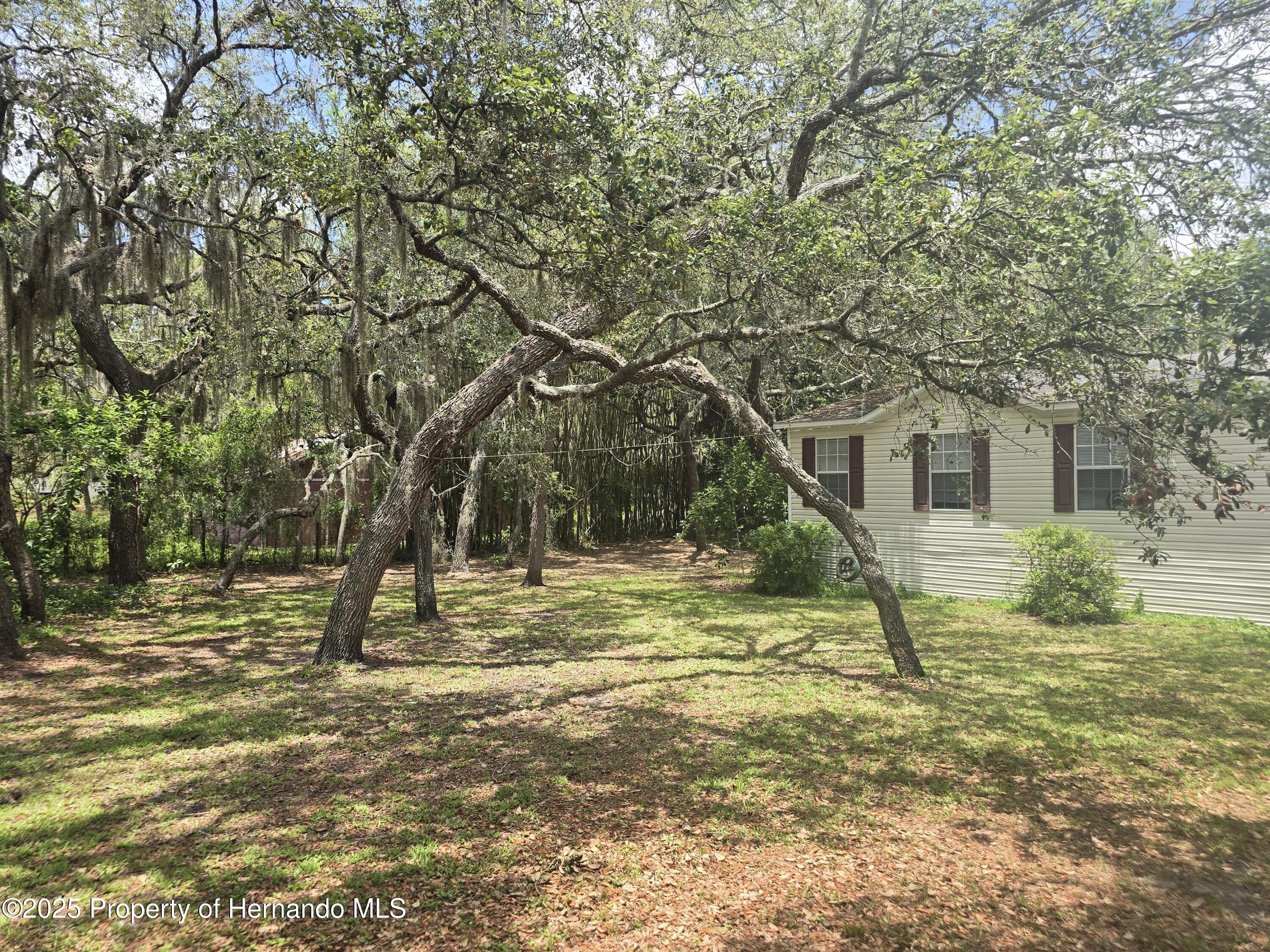 12843 Ithaca Avenue, Hudson, Florida image 8