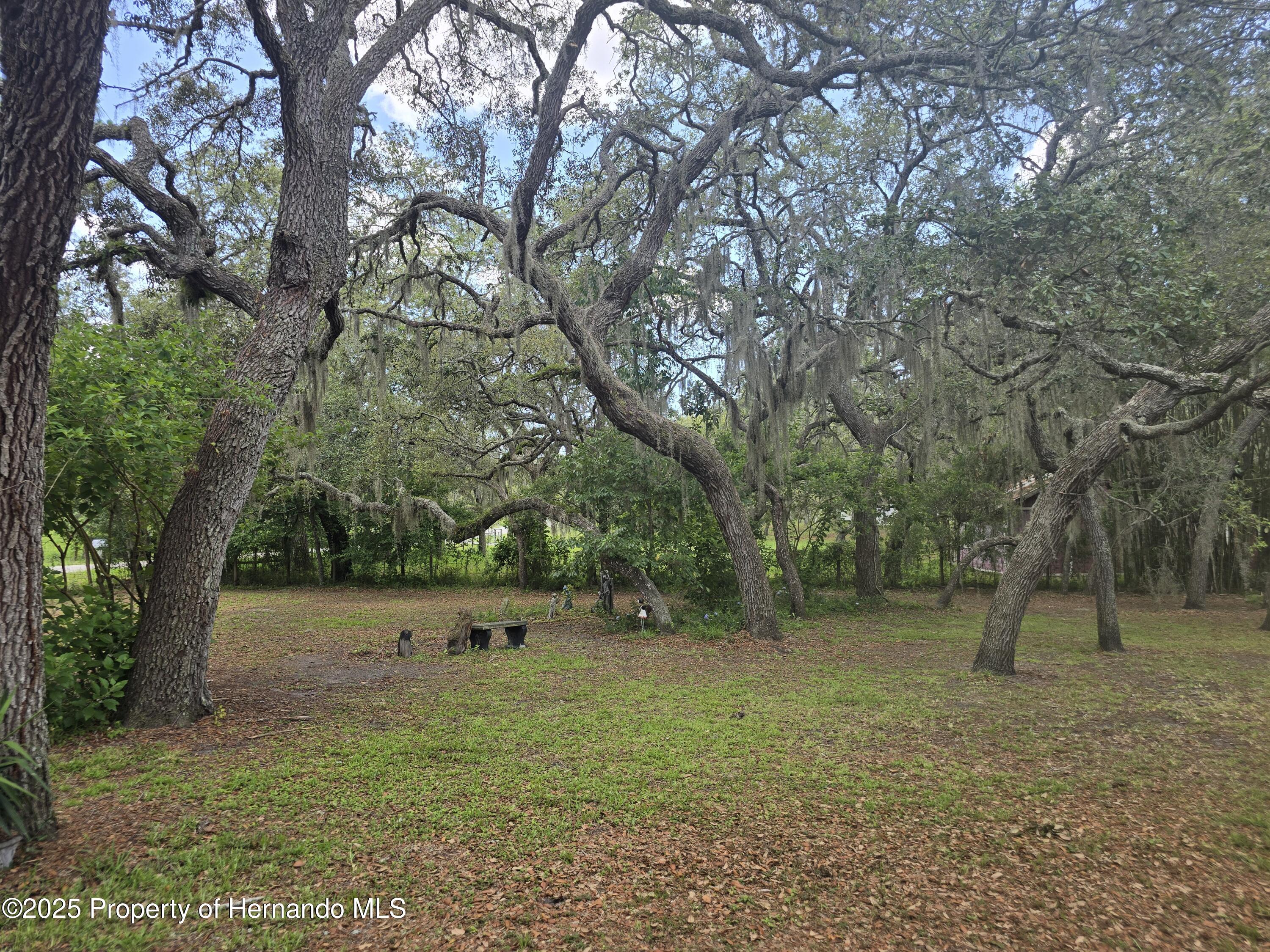 12843 Ithaca Avenue, Hudson, Florida image 21
