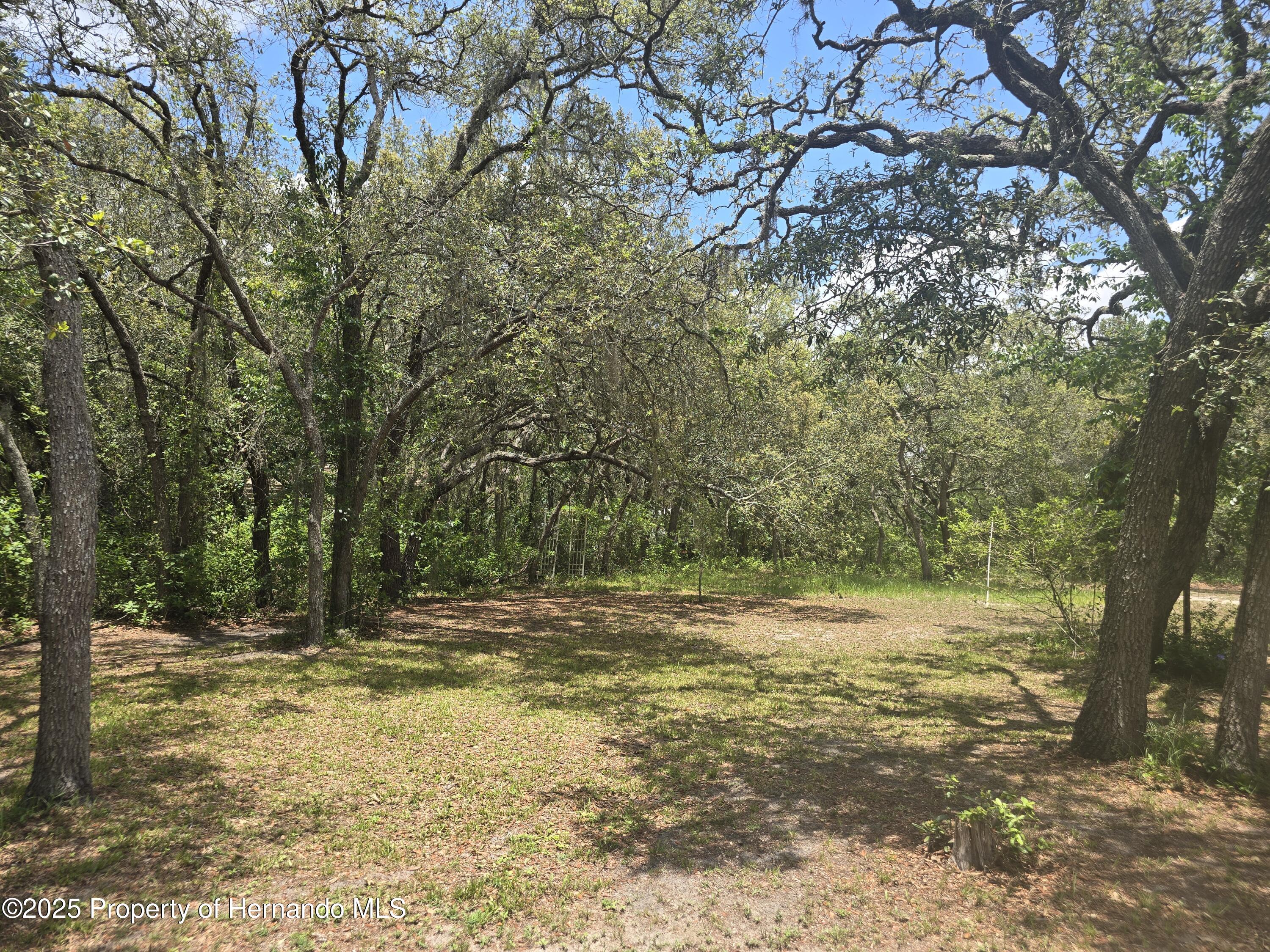 12843 Ithaca Avenue, Hudson, Florida image 14