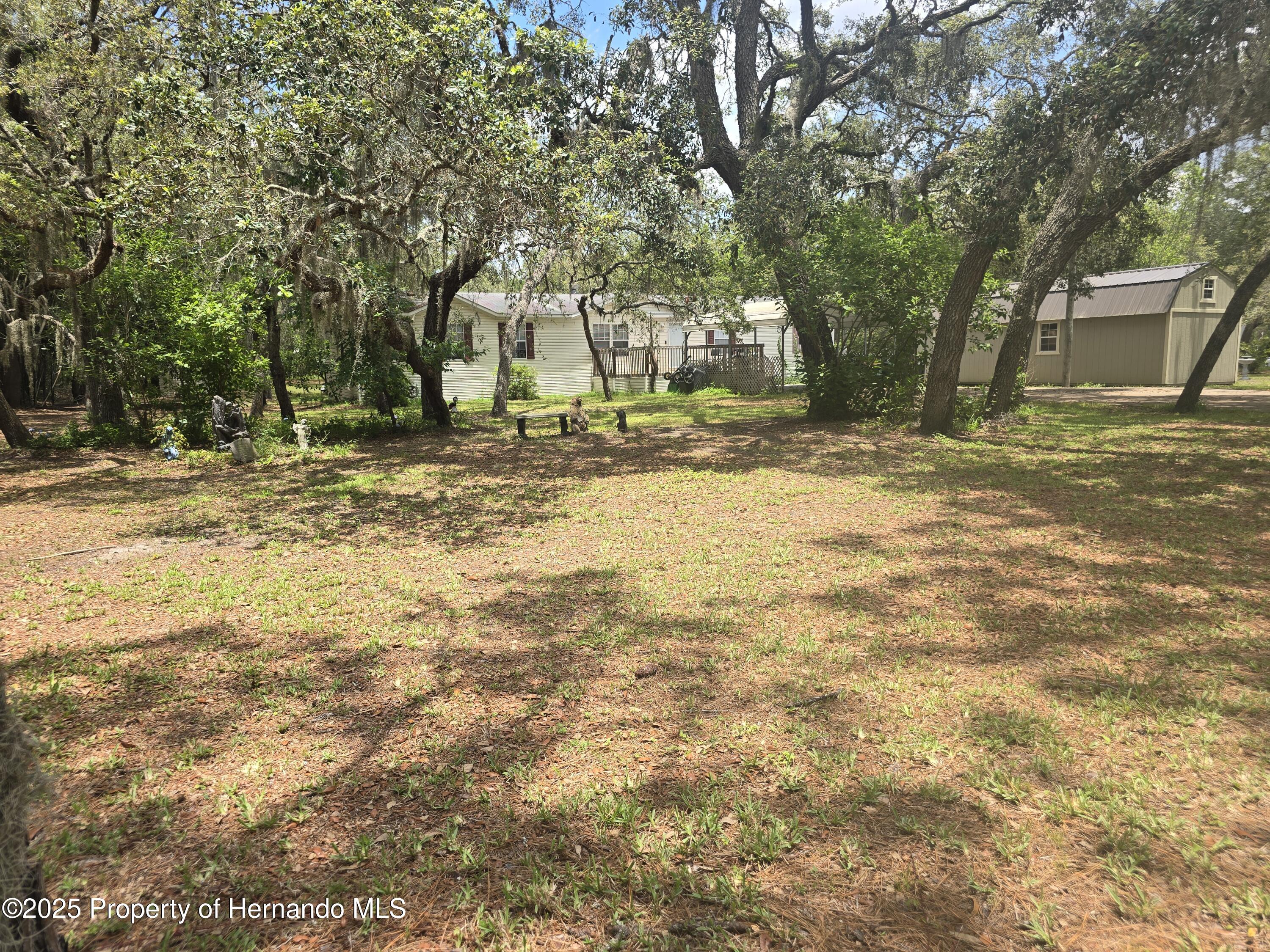 12843 Ithaca Avenue, Hudson, Florida image 3