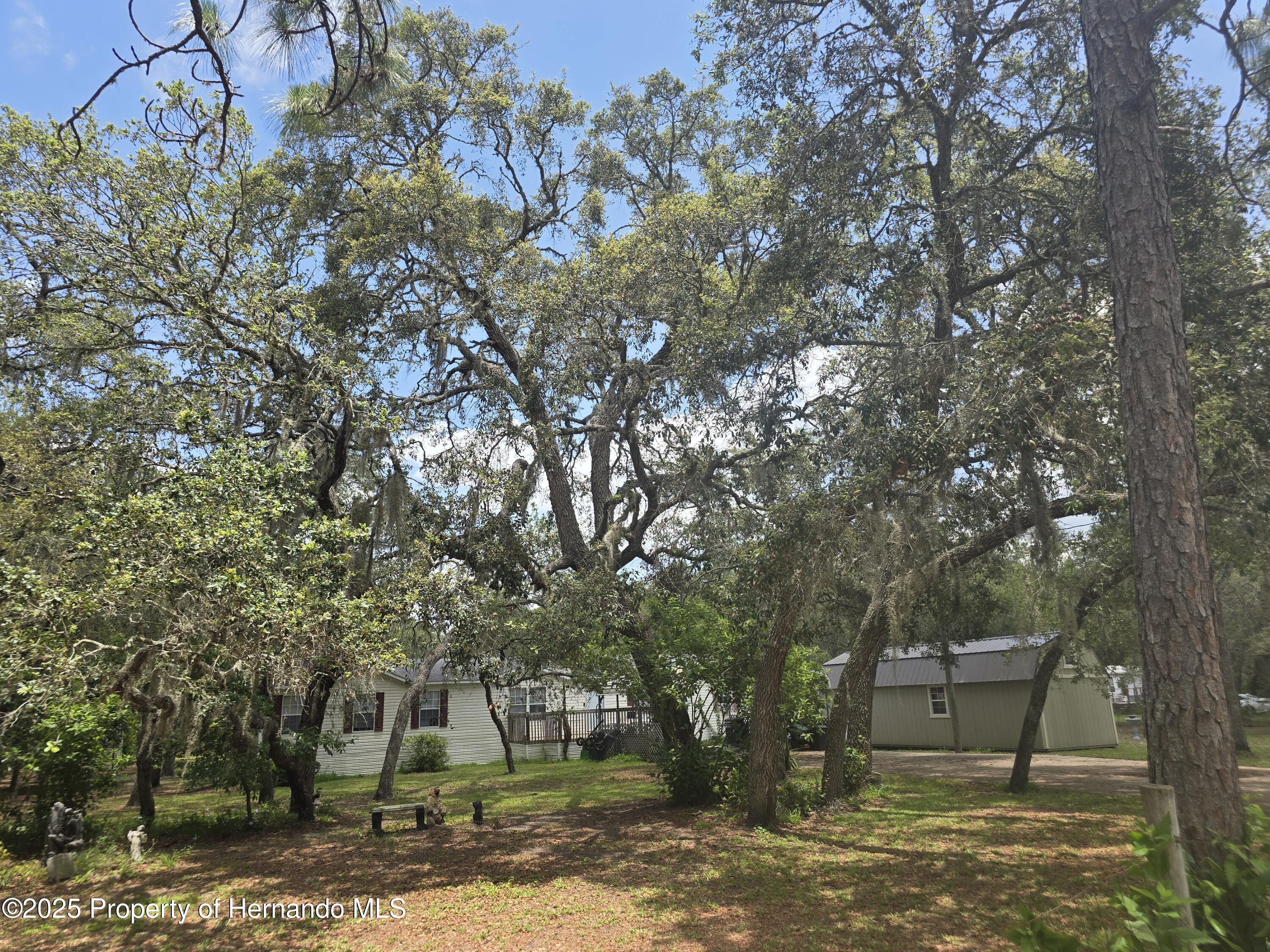 12843 Ithaca Avenue, Hudson, Florida image 9